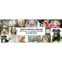 Friends of North Central Shelter – Los Angeles Animal Services